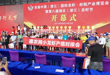 2017監(jiān)利、潛江小龍蝦網(wǎng)上采購(gòu)節(jié)
