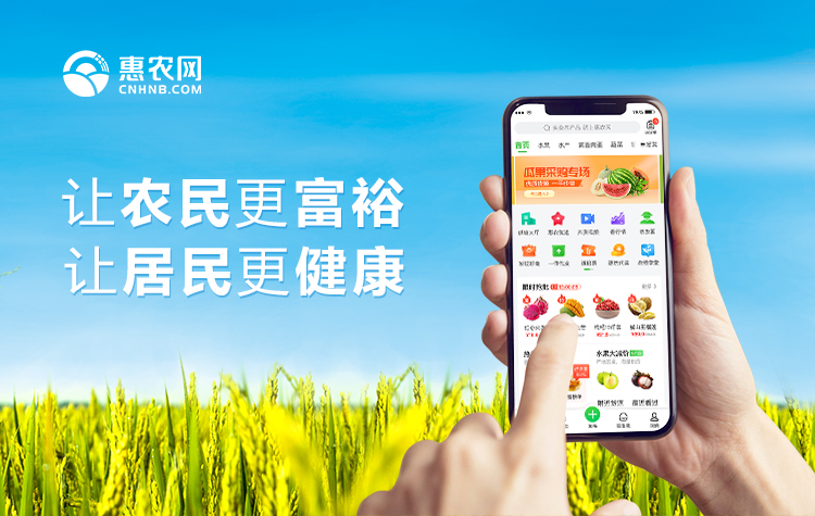 紅網(wǎng) | 惠農(nóng)網(wǎng)：電商培訓(xùn)讓農(nóng)村人才在家門(mén)口做天下生意