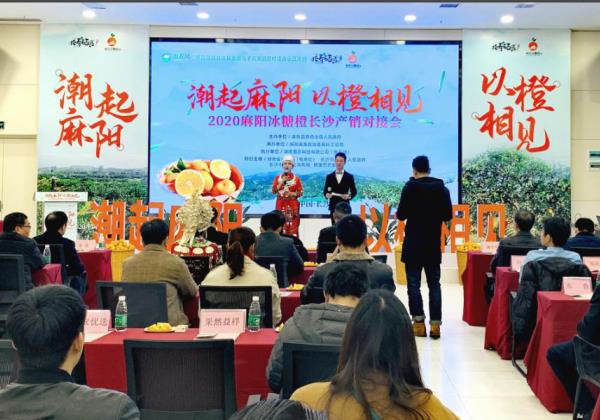 電商抱團(tuán)助銷?2020年麻陽冰糖橙長沙產(chǎn)銷對接會(huì)在惠農(nóng)網(wǎng)總部舉行