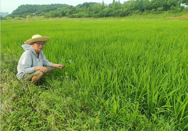 年入200余萬元！看80后IT高管如何靠惠農(nóng)網(wǎng)跨界生財(cái)