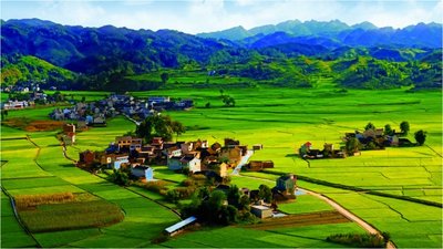 關于印發(fā)《“我的家鄉(xiāng)我建設”活動實施方案》的通知