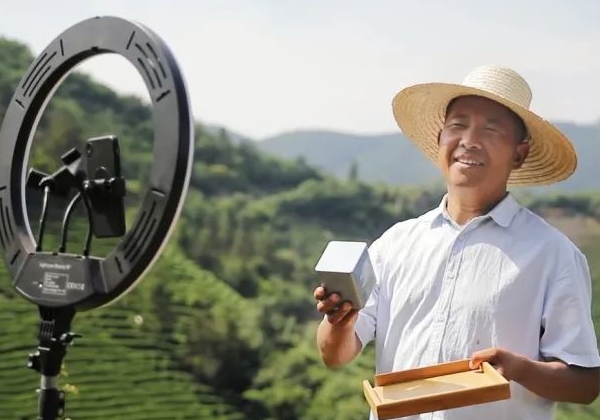 非遺傳承人孫壯志：年產超萬斤，讓桐城小花香譽全國
